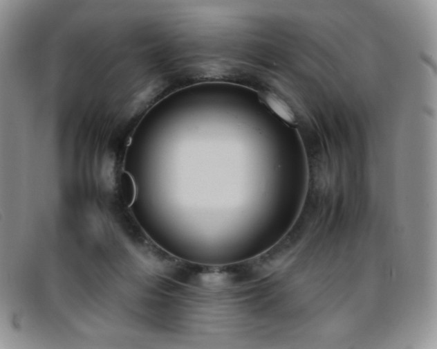 X0000096670216200802051230