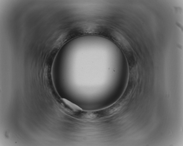 X0000096670217200802051230