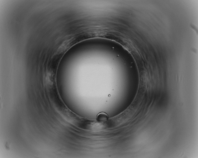 X0000096670218200802051230