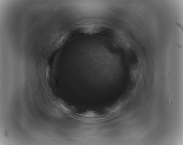 X0000096670219200802051230