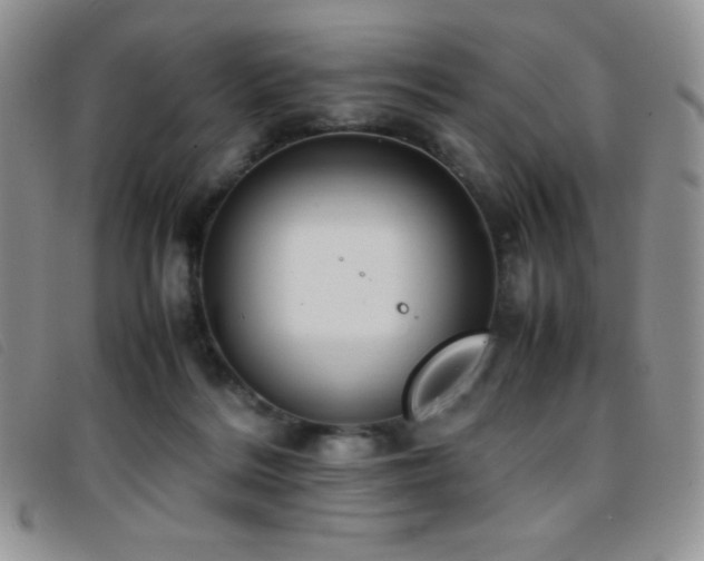 X0000096670220200802051230