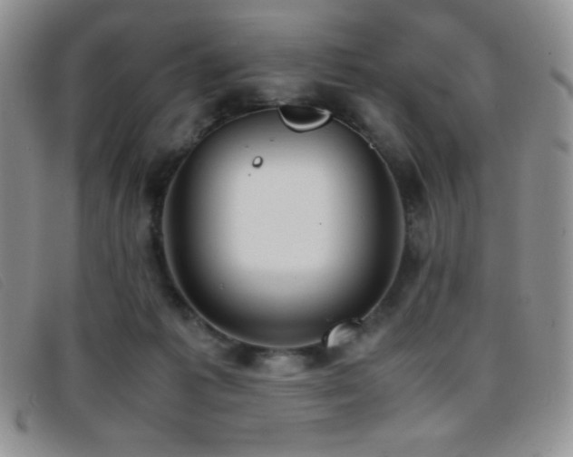 X0000096670221200802051230