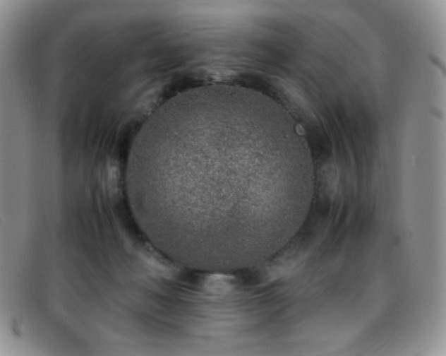 X0000096670222200802051230