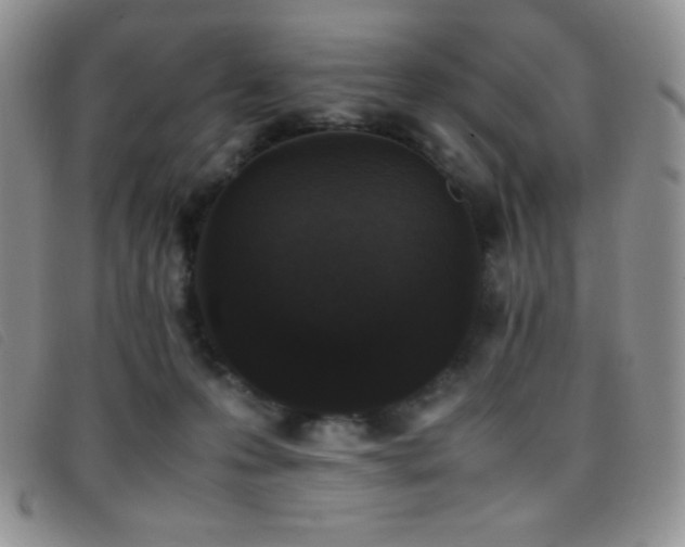X0000096670223200802051230