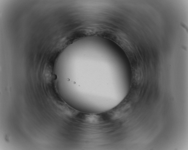 X0000096670226200802051230
