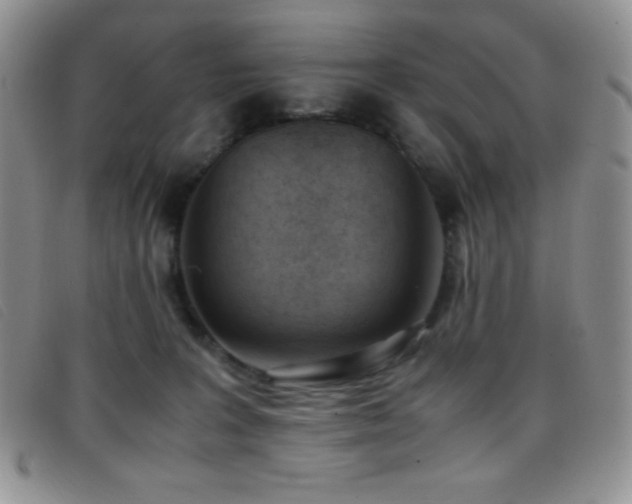 X0000096670227200802051230