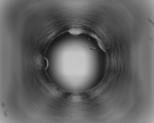 X0000096670228200802051230