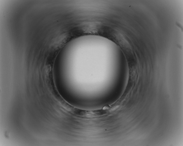X0000096670229200802051230