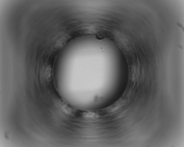 X0000096670230200802051230