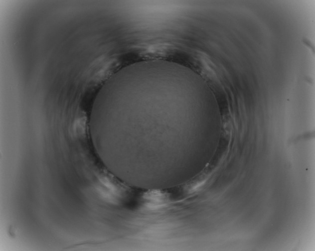 X0000096670231200802051230