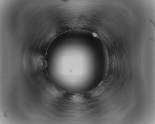 X0000096670232200802051230