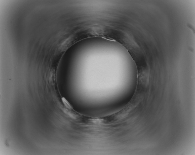 X0000096670233200802051230