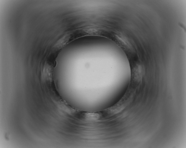 X0000096670234200802051230