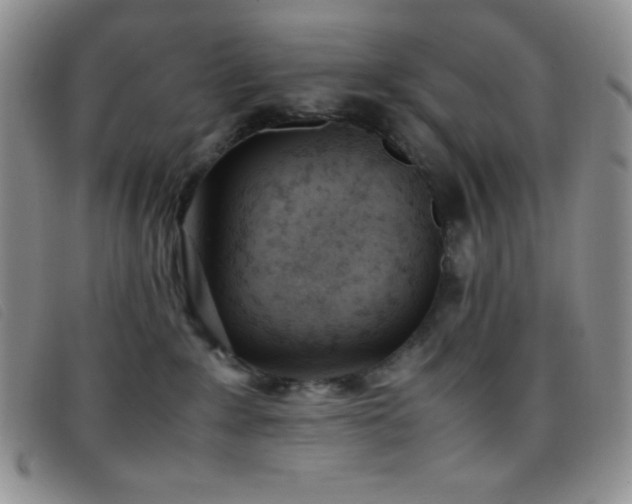 X0000096670235200802051230