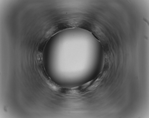 X0000096670237200802051230