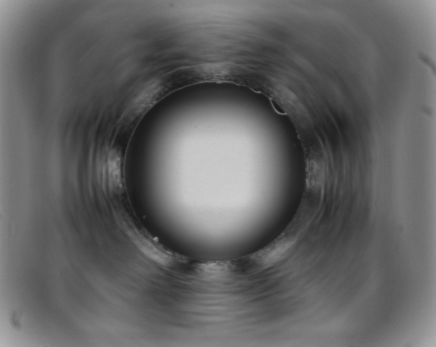 X0000096670238200802051230