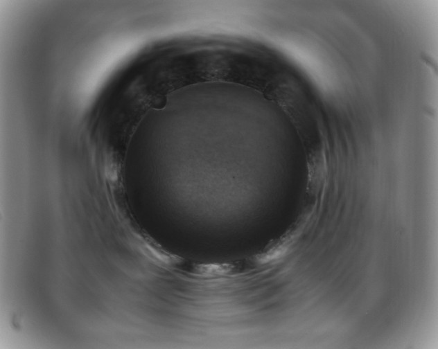 X0000096670239200802051230