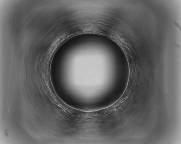 X0000096670241200802051229