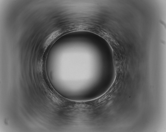 X0000096670242200802051229