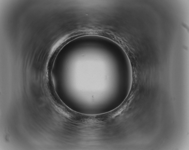 X0000096670246200802051229