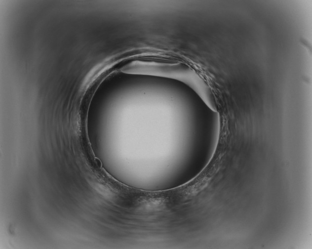 X0000096670247200802051229