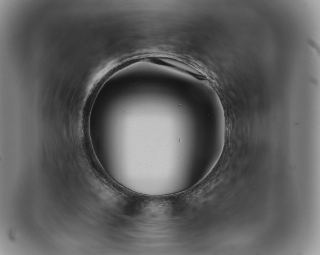 X0000096670248200802051229