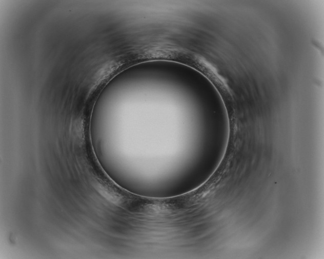 X0000096670250200802051229