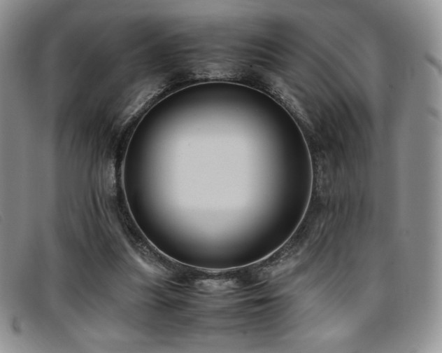 X0000096670251200802051229