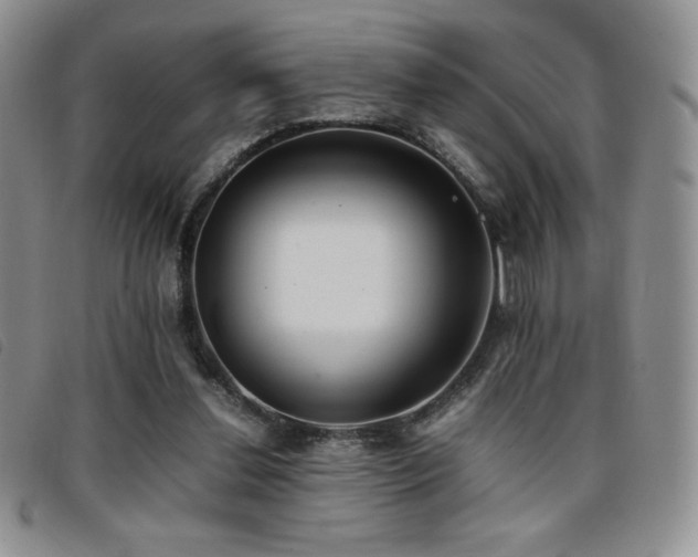 X0000096670252200802051229