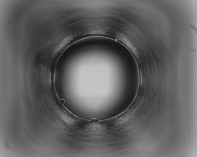 X0000096670253200802051229