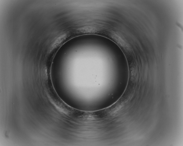 X0000096670254200802051229