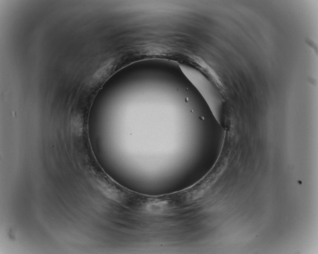 X0000096670257200802051229