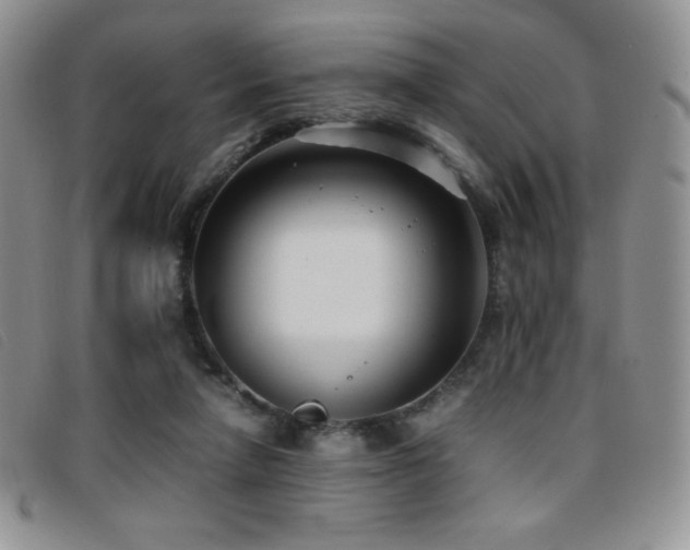 X0000096670258200802051229