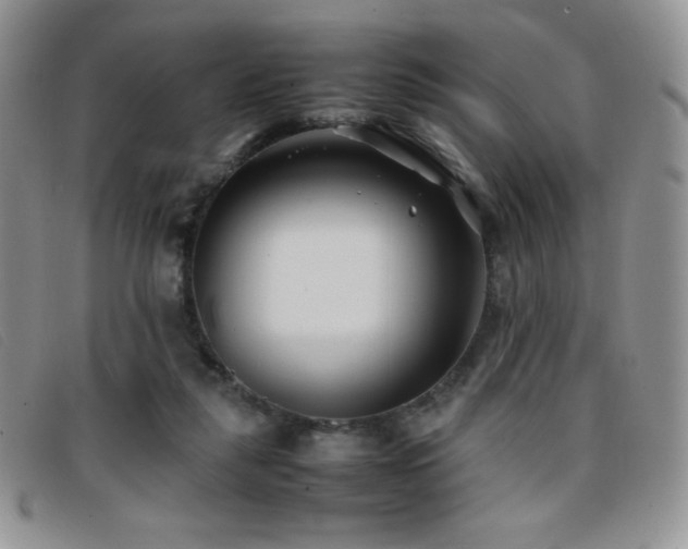 X0000096670259200802051230