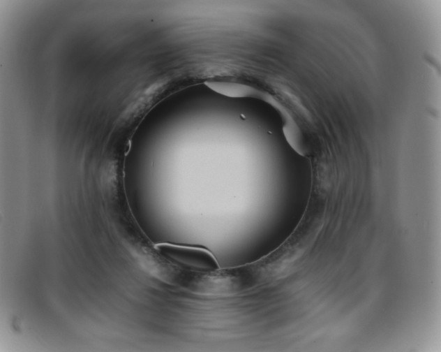 X0000096670260200802051230