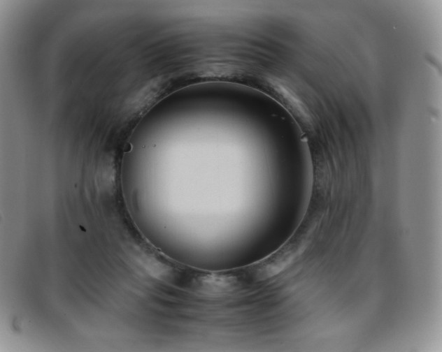 X0000096670261200802051230