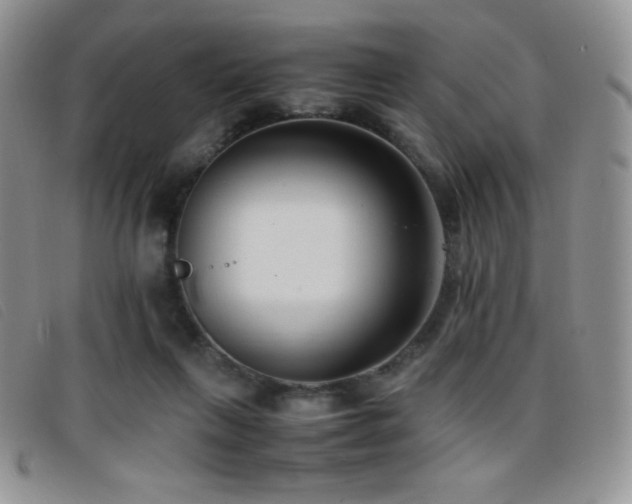X0000096670263200802051230