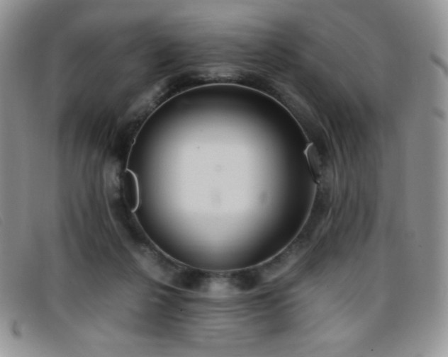 X0000096670264200802051230