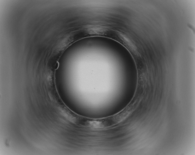 X0000096670265200802051230