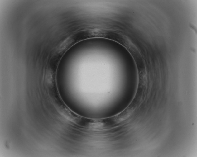 X0000096670266200802051230