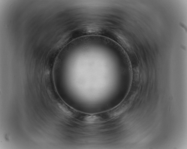 X0000096670269200802051230