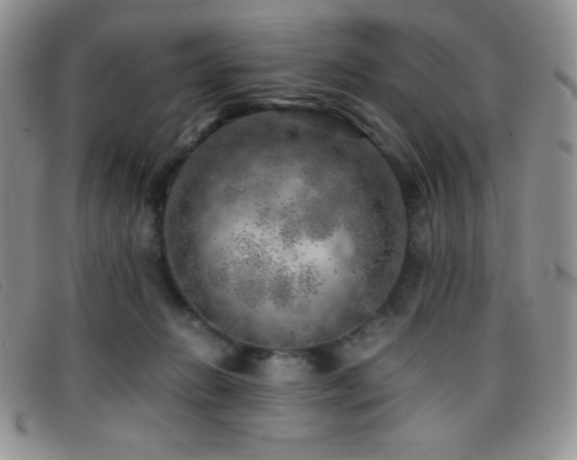 X0000096670270200802051230
