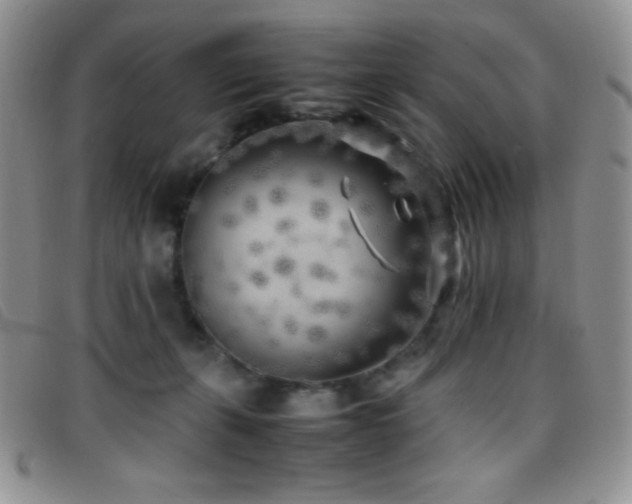 X0000096670271200802051230