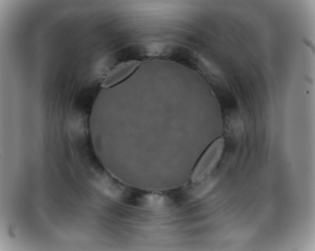 X0000096670272200802051230