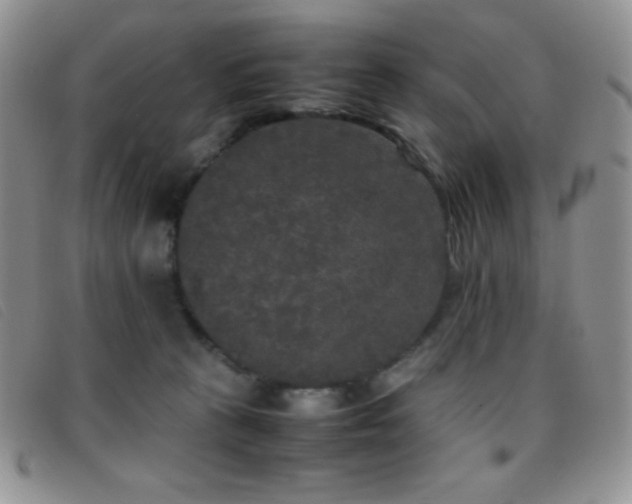 X0000096670273200802051230