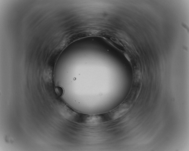 X0000096670274200802051230