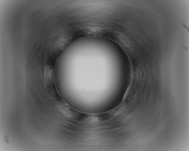 X0000096670276200802051230