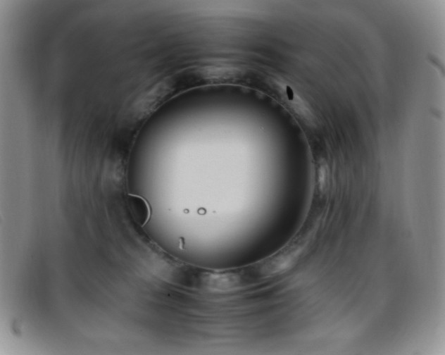X0000096670277200802051230