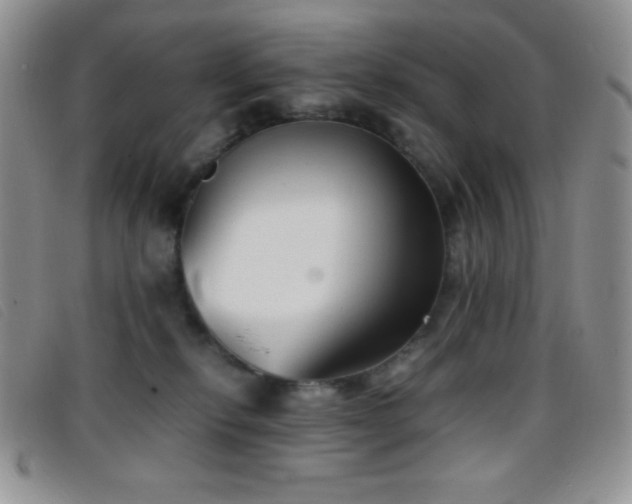 X0000096670278200802051230