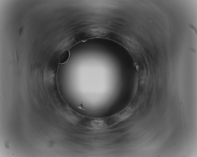 X0000096670279200802051230